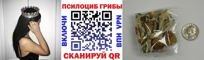 ОМГ ОМГ ссылки  Курган  Псилоцибиновые грибы Magic Shrooms 